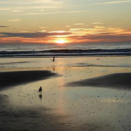 Bed & Breakfast Chez Blandine & Pol Hardelot-Plage