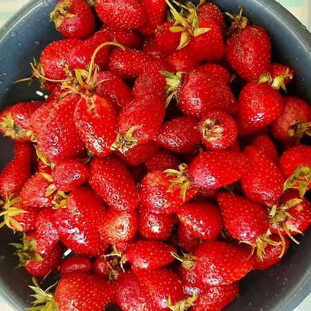 Chez Blandine & Pol - D'hotes 3* Hardelot-Plage