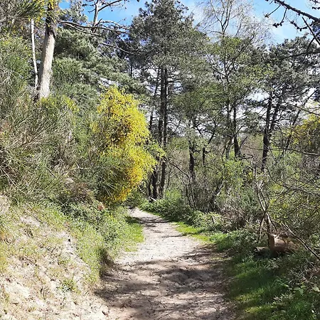 Chez Blandine & Pol Bed & Breakfast