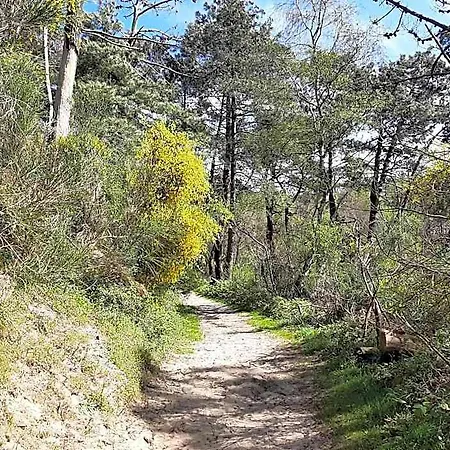Chez Blandine & Pol Oda ve Kahvaltı Hardelot-Plage