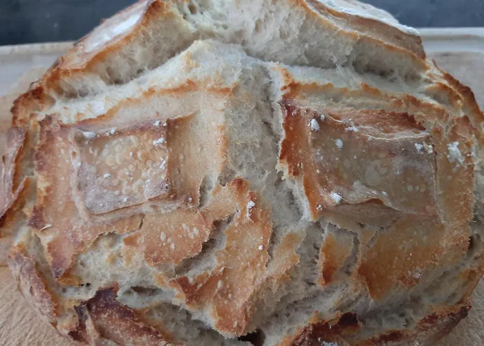 Bed & Breakfast Chez Blandine & Pol - D'hotes Hardelot-Plage